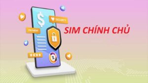 cach kiem tra sim chinh chu