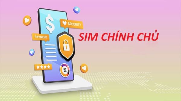 Tầm quan trọng của việc kiểm tra sim chính chủ