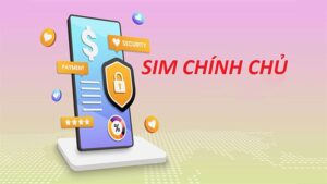 dang ky sim chinh chu viettel 1